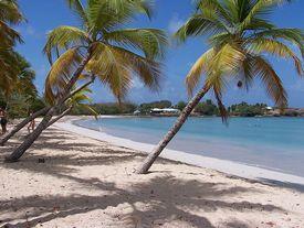 56% Plan On Using All Their Vacation Time This Year