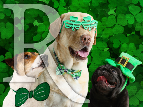 St. Patrick’s Day: 45% Claim Irish Ancestry