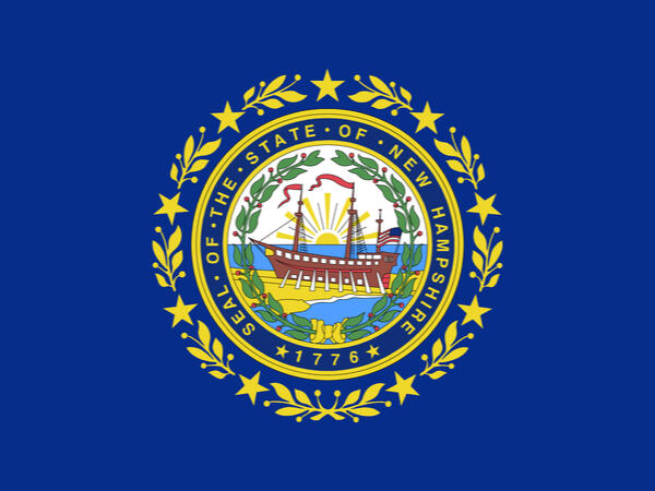 New Hampshire Voters Oppose Amnesty in ‘Build Back Better’